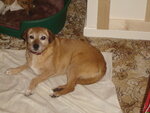 DSC00672.JPG