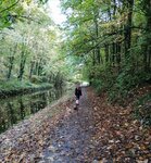 IMG_20201111_195559.jpg