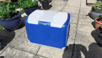 Halfords mains 12v coolbox.jpg