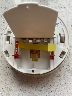 IMG_3731.jpeg IMG_3731.jpeg