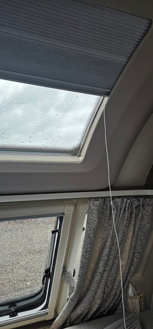 20251031_130942_Original.jpeg 20251031_130942_Original.jpeg