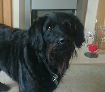 Studio_20211114_105901.jpg Studio_20211114_105901.jpg