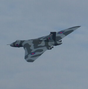 P1020225.jpeg P1020225.jpeg