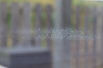 0P2A9450.jpg 0P2A9450.jpg