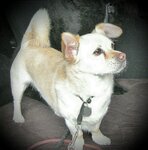 Studio_20220303_184218.jpg