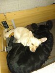 DSC_0013.JPG