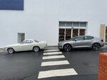 IMG_8229.JPG