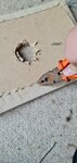 20220704_121938.jpg