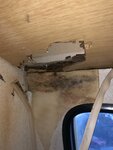 96B470BE-A31B-46EA-BED2-E63A8EF59AAE.jpeg