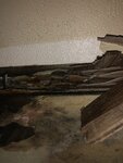 C0739600-60BF-4941-A3BF-65652413EE81.jpeg