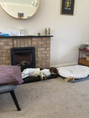 2B676040-2707-446A-AFA8-5DFDB6CC5BF3_1_105_c.jpeg 2B676040-2707-446A-AFA8-5DFDB6CC5BF3_1_105_c.jpeg