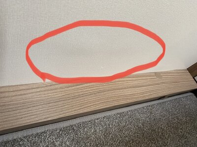 IMG_6707.jpeg IMG_6707.jpeg