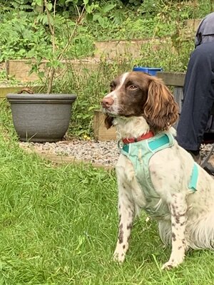 IMG_4995.jpeg IMG_4995.jpeg