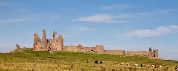 NH 2 (Medium).jpg NH 2 (Medium).jpg