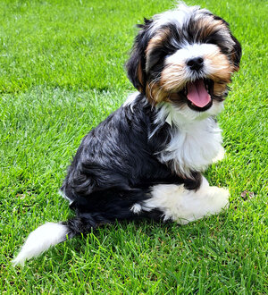 Rory 11.08.2023 today.jpg