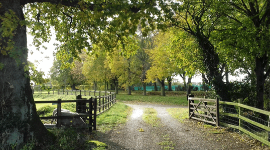 ChurchFarmCottagesNR118RF000.gif