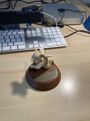 IMG_3011.jpeg IMG_3011.jpeg