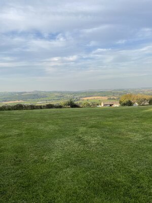 IMG_6280.jpeg IMG_6280.jpeg