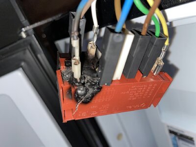 IMG_0931.jpg IMG_0931.jpg