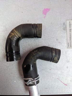 photo_2023-10-26 10.01.02.jpeg