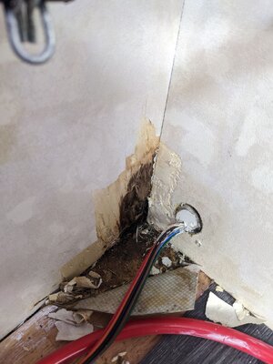 photo_2023-10-27 11.56.05.jpeg photo_2023-10-27 11.56.05.jpeg