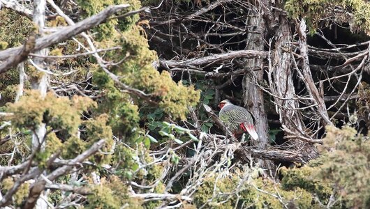 Bhutan 2 Nov 2015, 10-41 4 Nov 2015, 09-17.jpeg Bhutan 2 Nov 2015, 10-41 4 Nov 2015, 09-17.jpeg