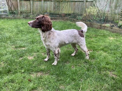 IMG_3342.jpeg IMG_3342.jpeg