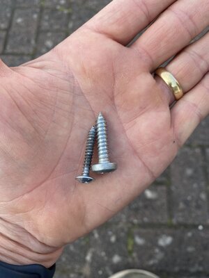 IMG_1985.jpeg IMG_1985.jpeg