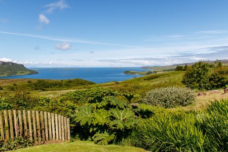 0P2A2728 (Medium).jpg