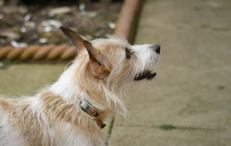 Screenshot_20240620-104608.png Screenshot_20240620-104608.png