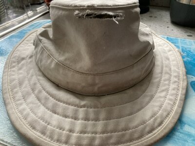 IMG_3539.jpeg IMG_3539.jpeg