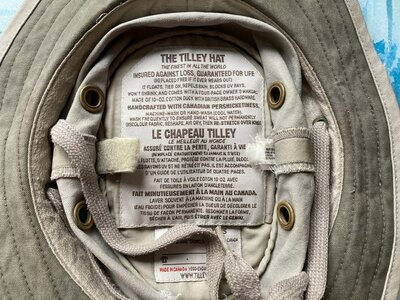 IMG_3537.jpeg IMG_3537.jpeg