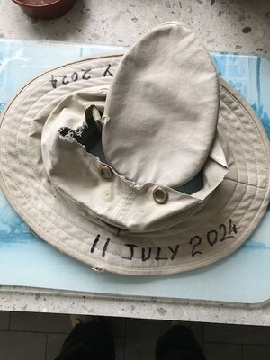 IMG_1261.jpeg IMG_1261.jpeg