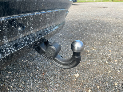 IMG_2919.jpeg IMG_2919.jpeg