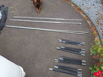 1000004246.jpg 1000004246.jpg