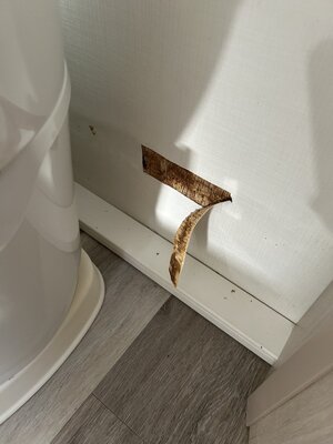 IMG_1471.jpeg IMG_1471.jpeg