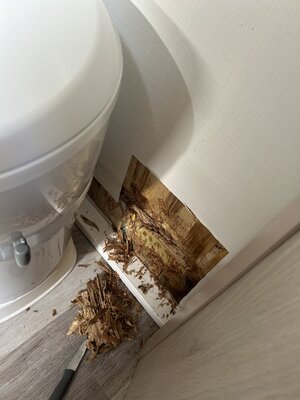 IMG_1474.jpeg IMG_1474.jpeg