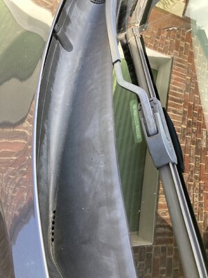 IMG_3583.jpeg IMG_3583.jpeg