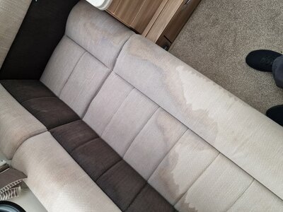 20241003_144429.jpeg 20241003_144429.jpeg