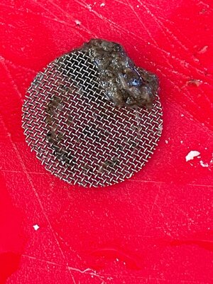 IMG_6105.jpeg IMG_6105.jpeg