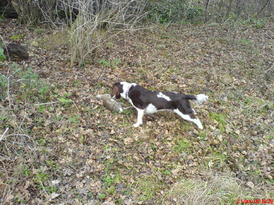 DSC00133.jpeg