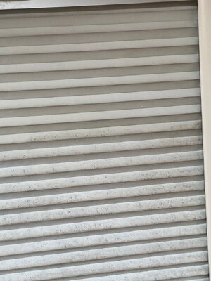 IMG_1553.jpeg