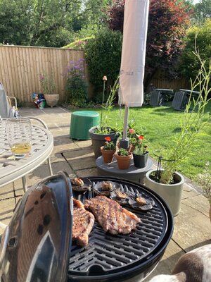IMG_3845.jpeg