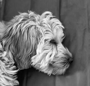 IMG_9565-X3.jpg IMG_9565-X3.jpg