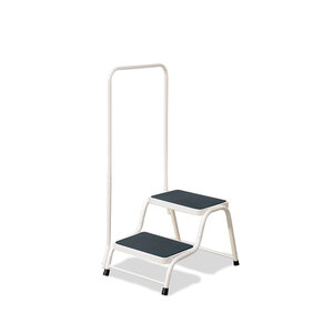 Double-step-with-rail.jpg