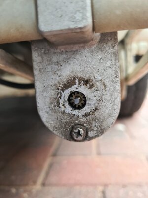 1000019963 (Large).jpg