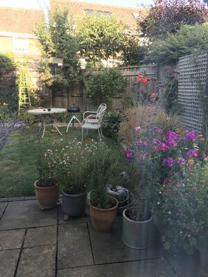 IMG_1444.jpeg