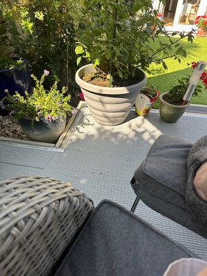 IMG_4654.jpeg