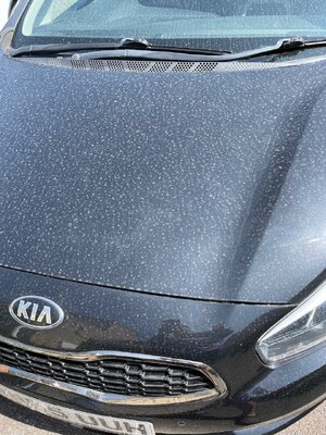 IMG_2393.jpeg
