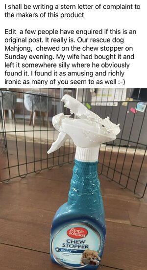 IMG_6859.jpeg